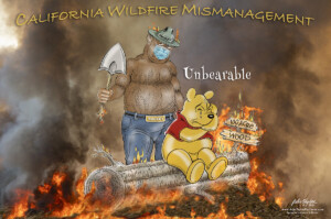 Smokey Bear and Winnie The Pooh - CA Wildfires - Political Cartoon