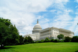 US Capitol, Washington DC, by Samuel Schroth