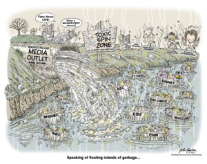 Mainstream Liberal Legacy Media Outlet cartoon