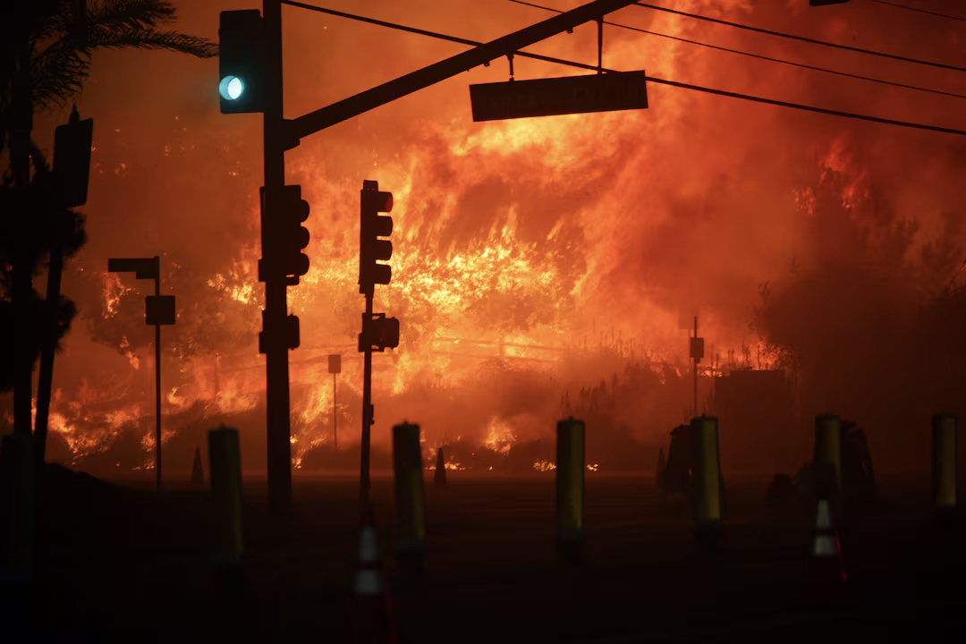 Palisades Fire